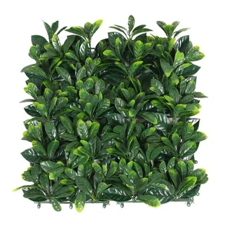 Muro di bosso artificiale