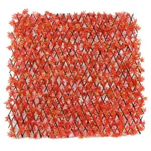 Lo schermo del recinto artificiale lascia il recinto allungabile dell'acero rosso