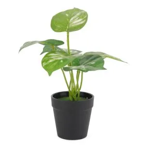 Bonsai di pianta artificiale verde ecologica