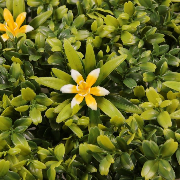 50*50 Cm Artificial Boxwood Grass Foliage Panels
