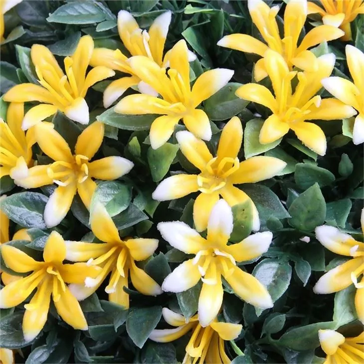 FOUR Types Of Colors Flower-ball